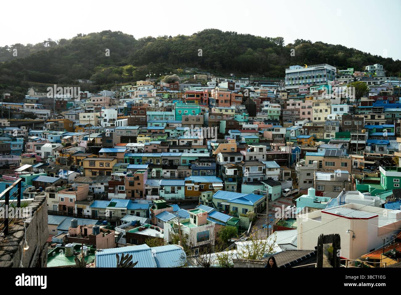 Busan, South Korea. The colorful Gamcheon Culture Village Stock Photo