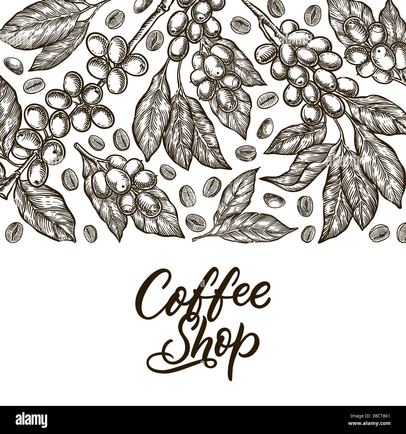Vintage coffee label background template. Vector sketch with hand-drawn beans, branches and calligraphic lettering. Perfect for packaging, branding or Stock Vector