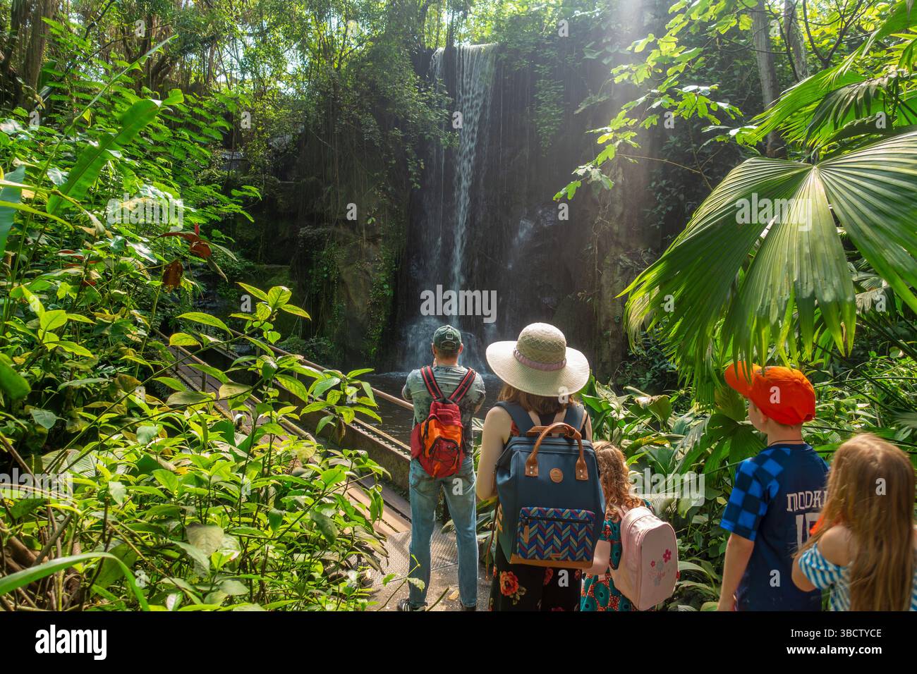 Visitors looking at exotic birds, fishes and jungle plants in the Bush, indoor tropical rainforest at Burgers Zoo in Arnhem, Gelderland, Netherlands Stock Photo