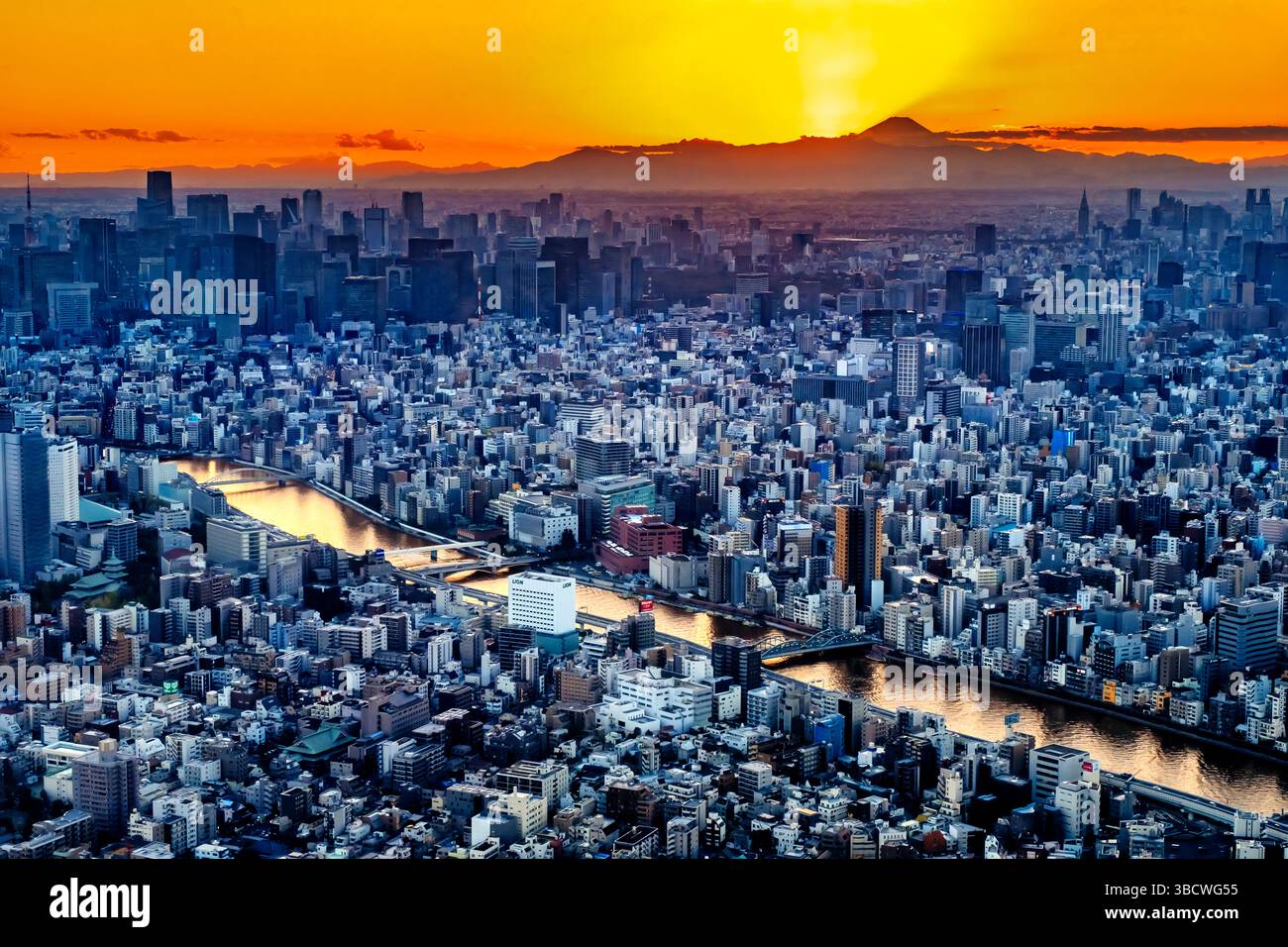 View of Mt. Fuji and Tokyo from the Skytree tower, Tokyo, Japan Stock Photo