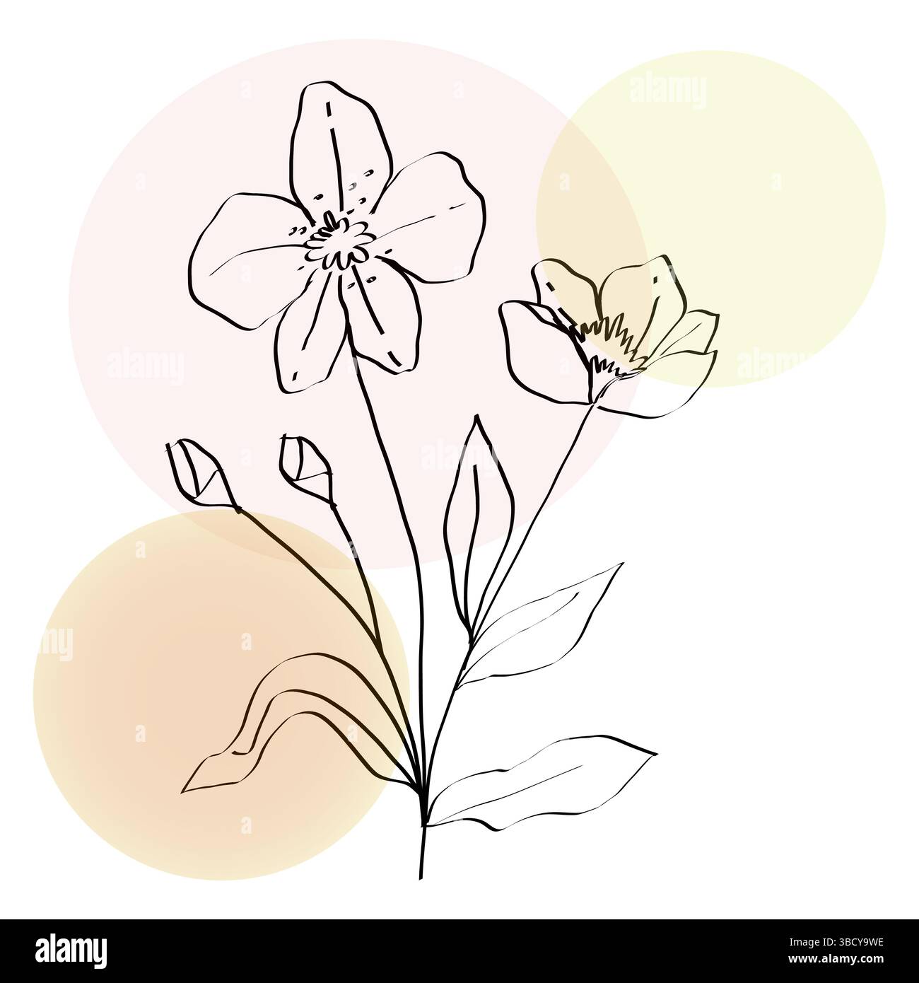 Flower outline drawing. Pastel circle background. Pink yellow shades ...