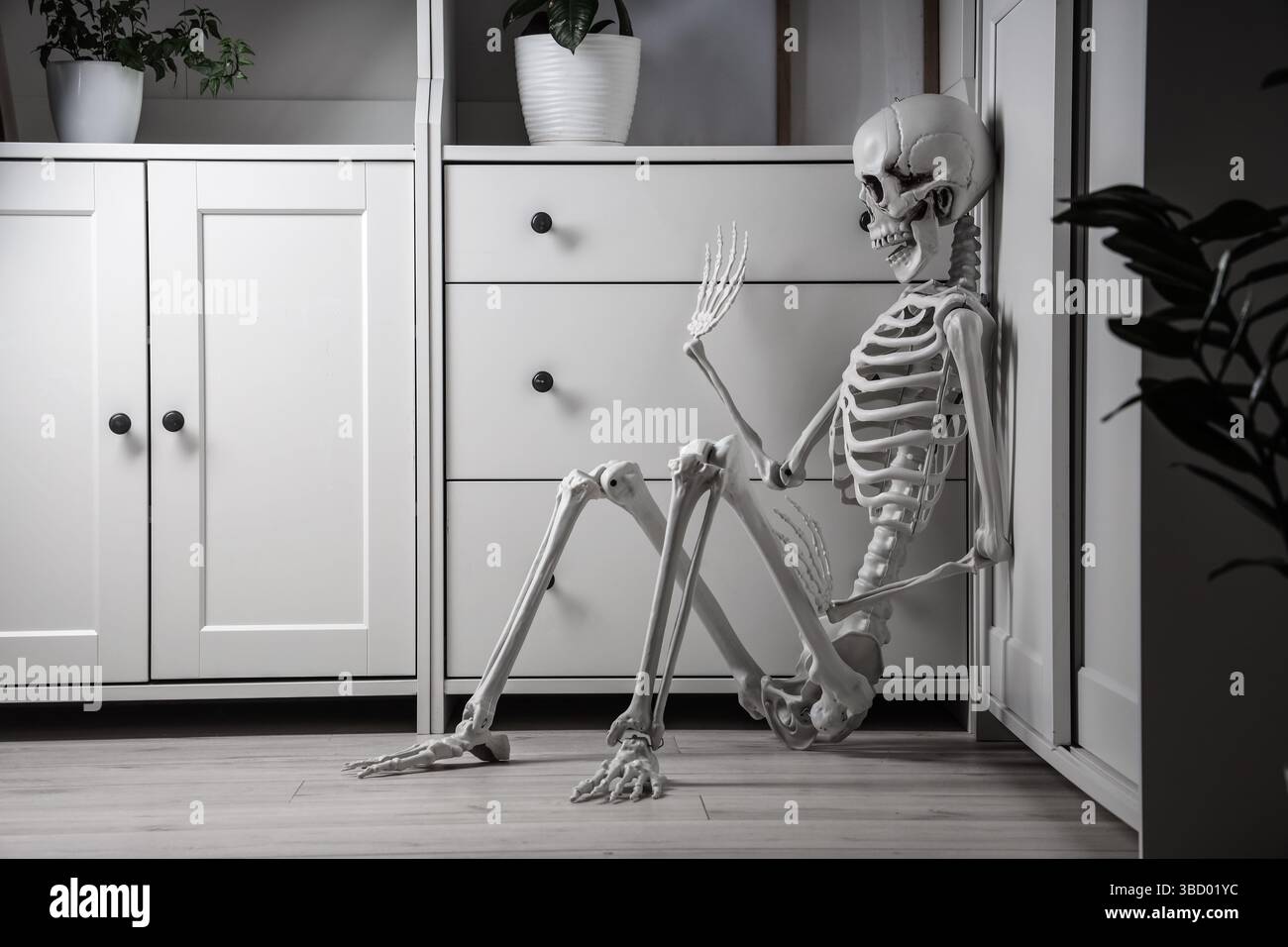 Human skeleton model sitting near closet in room Stock Photo - Alamy
