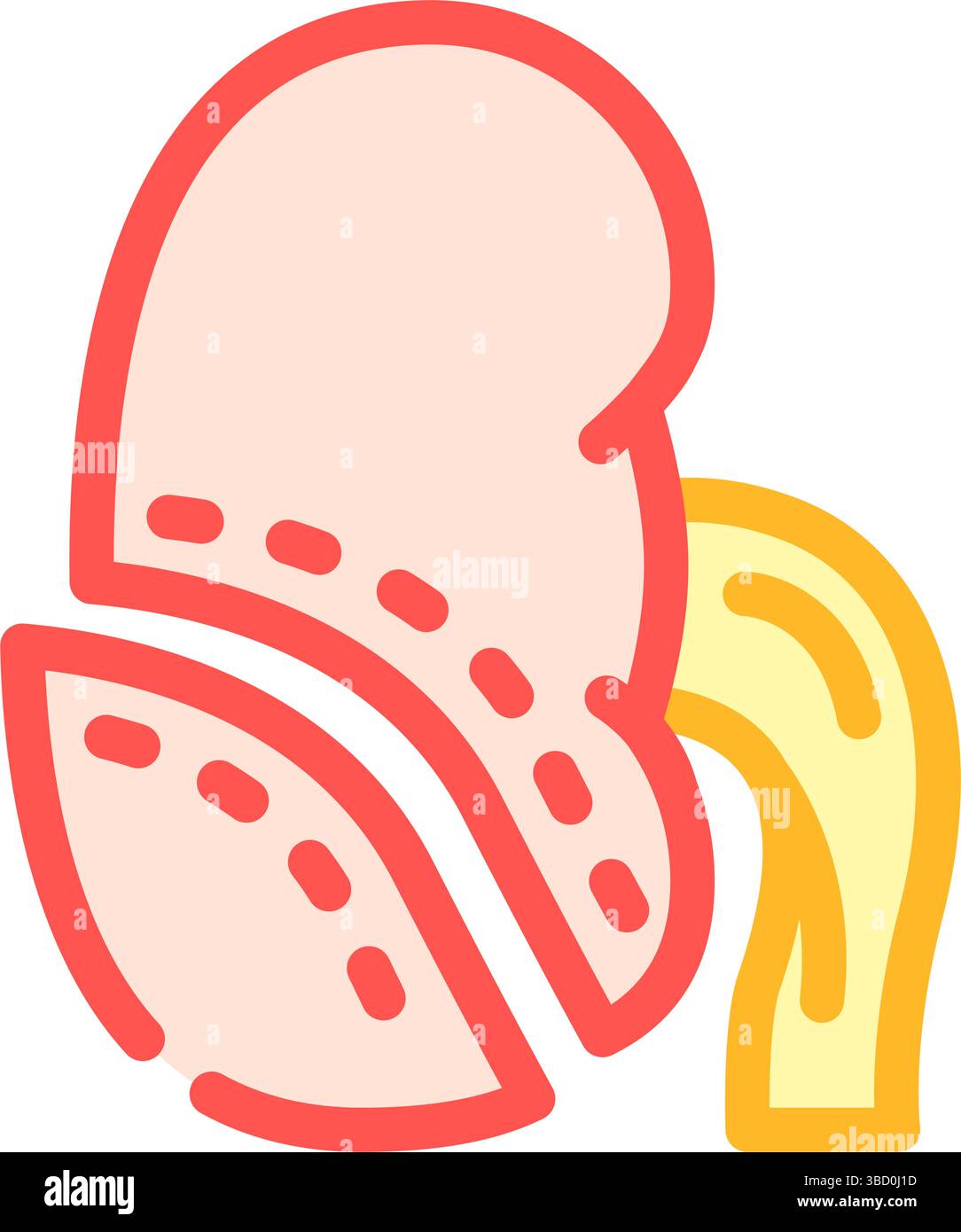 nephrectomy urology color icon vector illustration Stock Vector Image ...