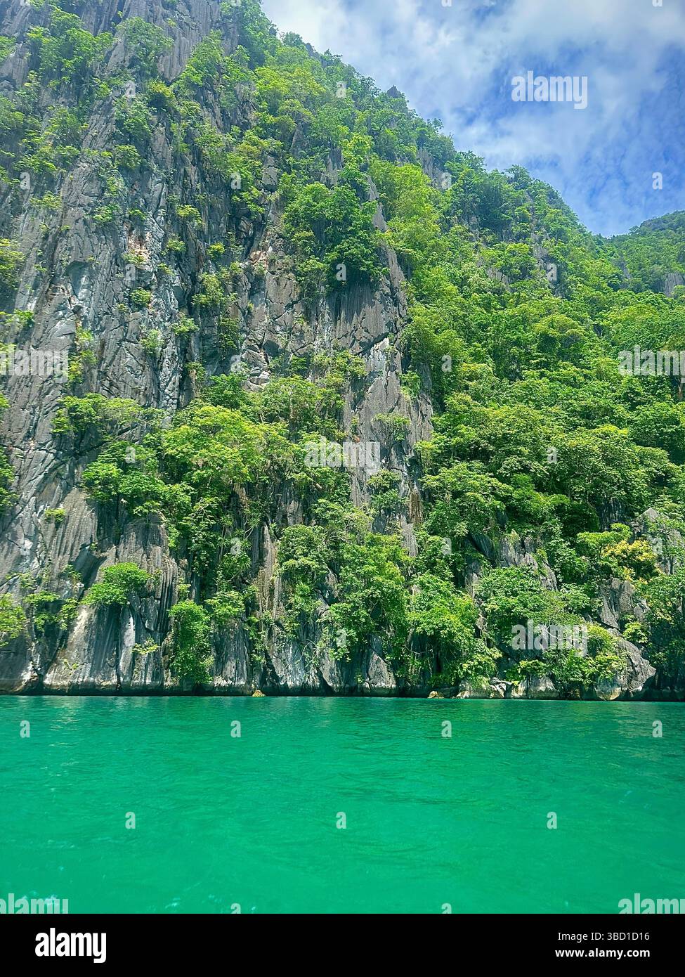 Lush tropical cliffs rise above clear turquoise waters under a bright sky—perfect for travel, eco-tourism, and nature adventure themes. - Smartphone Captured Stock Image