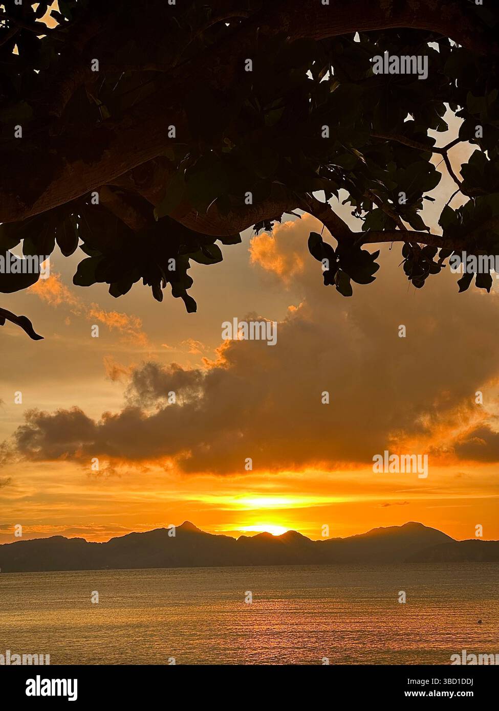 Golden tropical sunset over the ocean with silhouetted leaves and distant mountains—ideal for travel, romance, and relaxation themes. - Smartphone Captured Stock Image