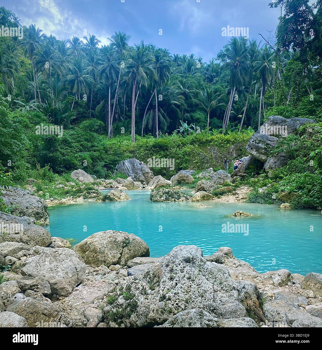 Tropical lagoon with crystal-clear turquoise water surrounded by lush palm trees and rocky shoreline in a serene jungle setting. - Smartphone Captured Stock Image