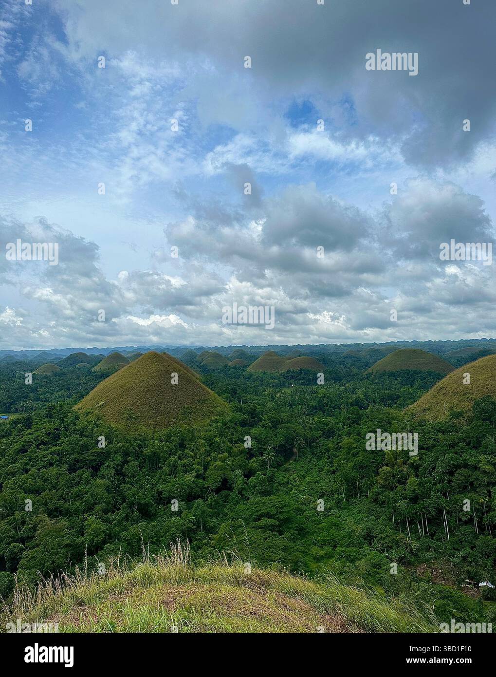 Panoramic view of the Chocolate Hills in Bohol, Philippines, with lush tropical forest under a dramatic cloudy sky - Smartphone Captured Stock Image