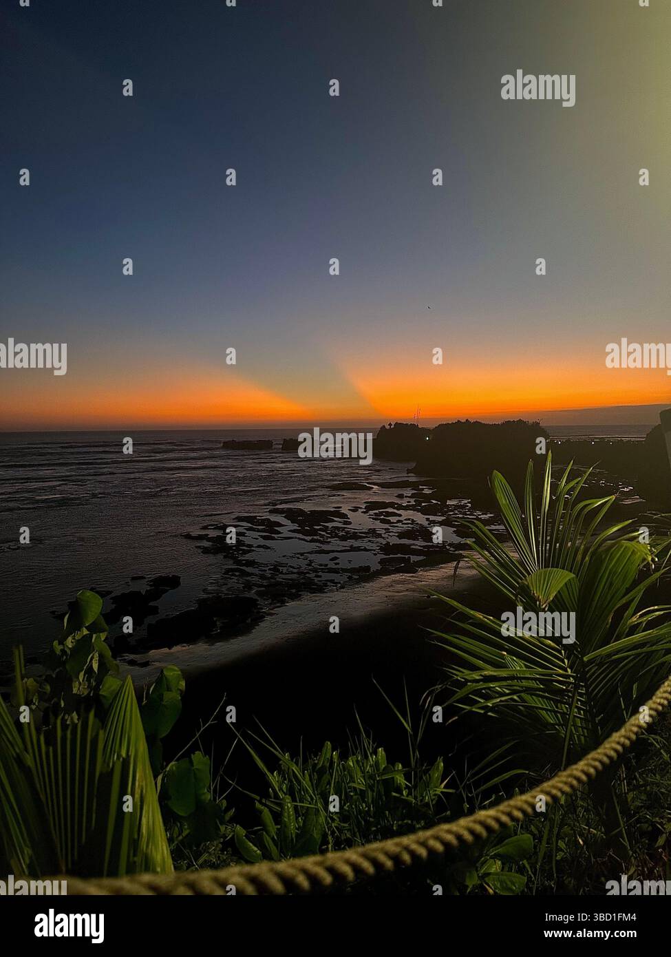 Dramatic coastal sunset with vivid orange and yellow hues over the ocean, silhouetted cliffs, and tropical plants in the foreground. - Smartphone Captured Stock Image
