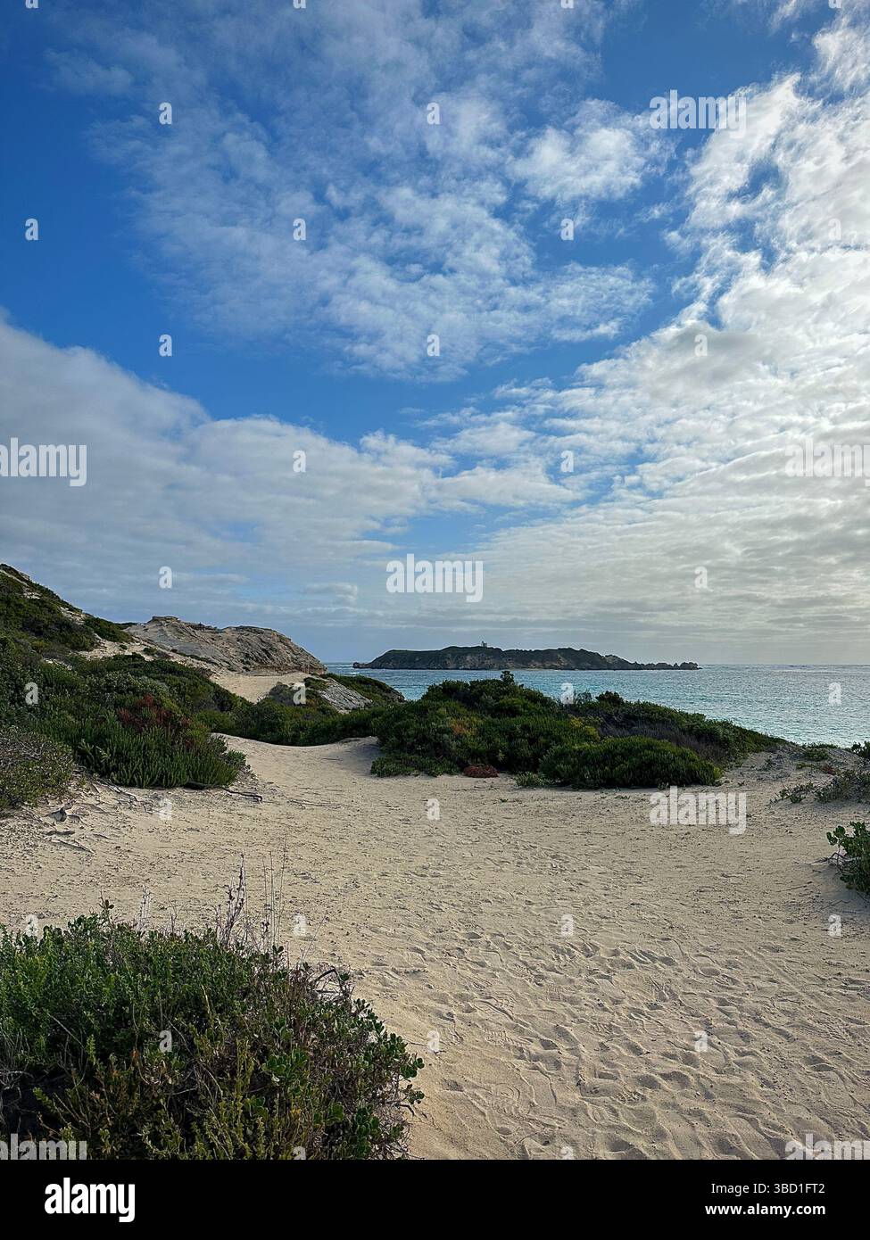 Scenic coastal sand dunes with green shrubs leading to the ocean, under a partly cloudy blue sky with a distant island on the horizon. - Smartphone Captured Stock Image