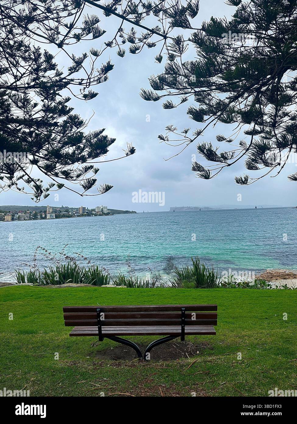 Empty park bench facing a calm turquoise bay framed by pine trees, offering a peaceful coastal view on a cloudy day. - Smartphone Captured Stock Image