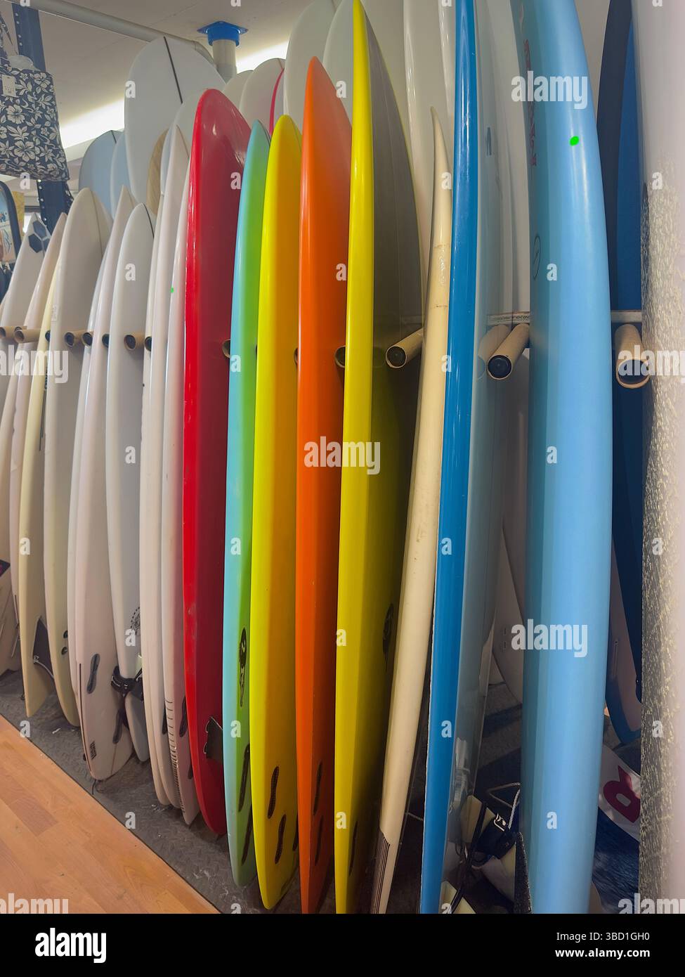 Row of colorful surfboards standing upright in a surf shop, ready for beach and ocean adventures. - Smartphone Captured Stock Image