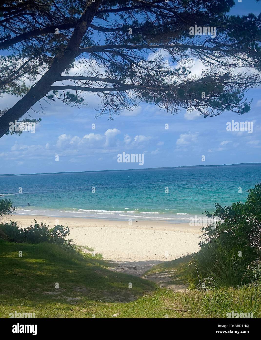Scenic view of a pristine sandy beach with turquoise waters framed by trees, under a bright blue sky with scattered clouds. - Smartphone Captured Stock Image