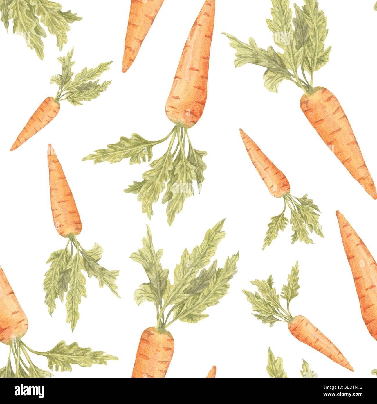 Orange carrots with leafy green tops in watercolor clipart arranged in ...