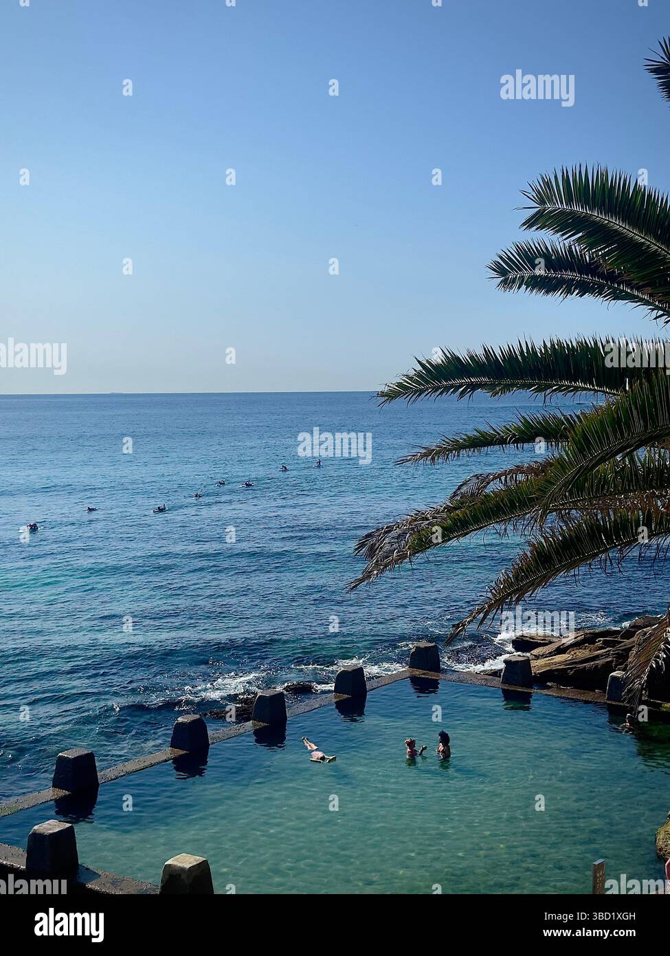 Ocean pool with swimmers enjoying a sunny day beside the sparkling sea, framed by tropical palm fronds for the perfect coastal escape. - Smartphone Captured Stock Image