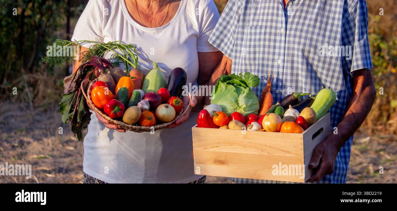 Farmers hold a wooden box and a wicker bowl full of fresh vegetables ...