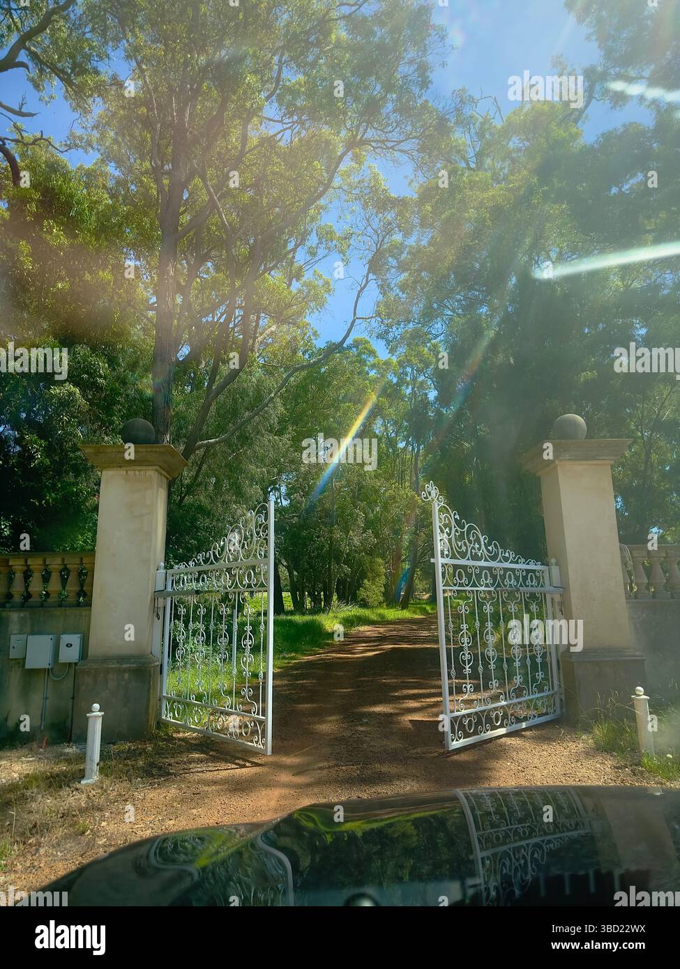 Elegant wrought iron gates opening to a sunlit tree-lined driveway, inviting entrance to a serene countryside estate - Smartphone Captured Stock Image