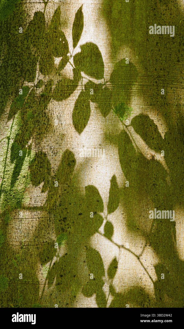 Shadow of leaves on a beech tree's trunk in a Somerset Wood Stock Photo