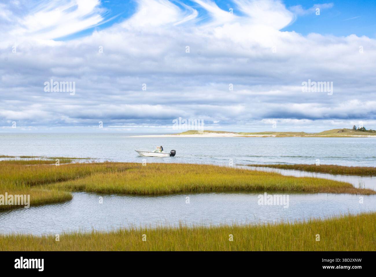 Cape Cod Salt Wander the Cape Cod saltmarsh! Long wooden boardwalks invite ...