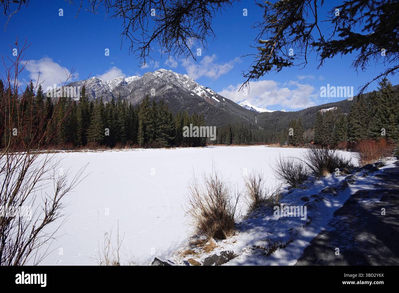 Frozen Bow River in Banff Canada Stock Photo