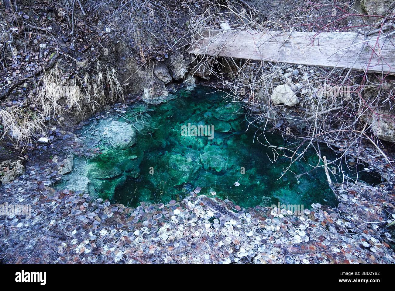 Natural hot spring source at Banff Cave and Basin site Stock Photo