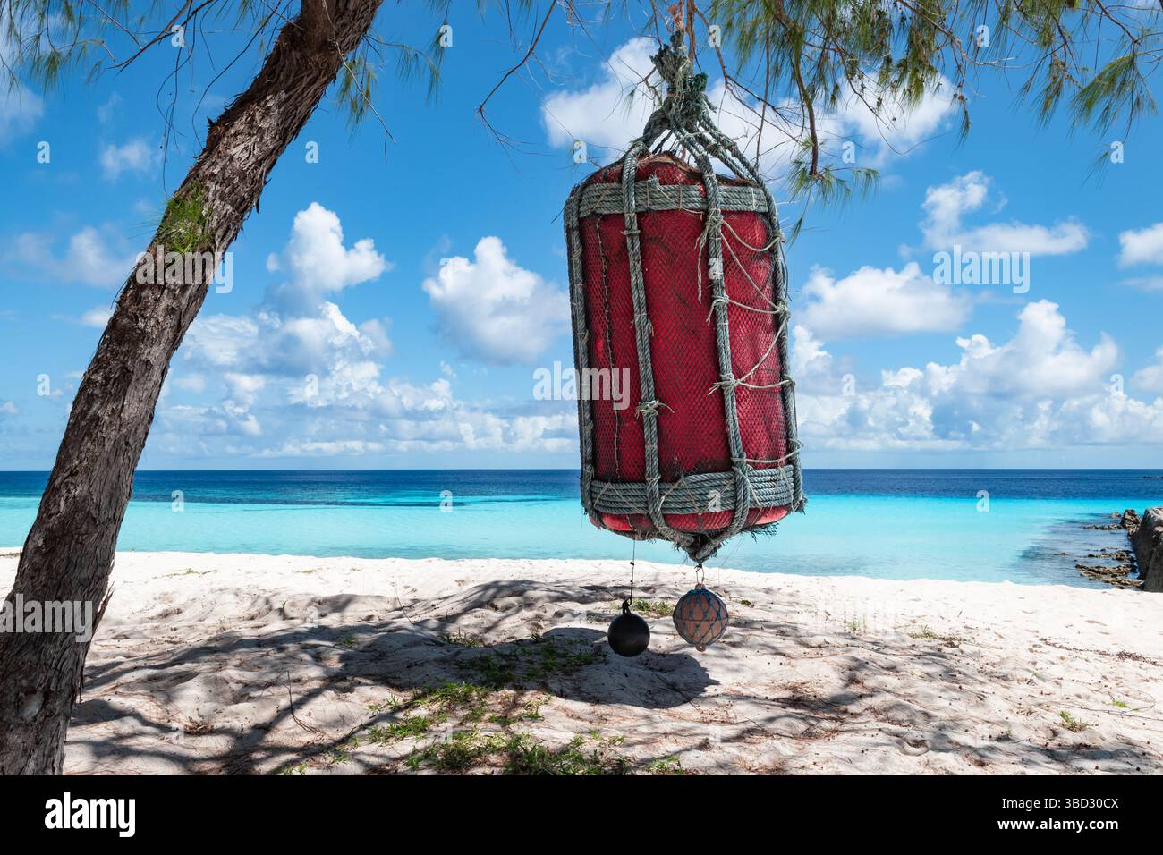 Big Buoy Hanging on Tree of Assumption Beach, Seychelles Stock Photo