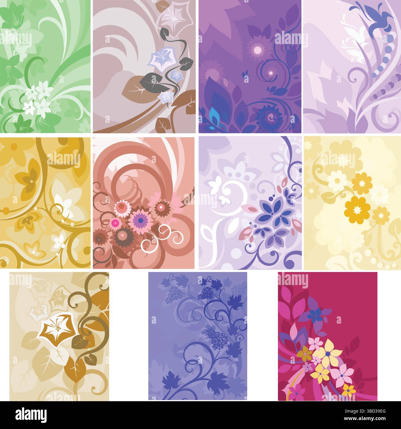 Floral Design Collection Sets Elegant Botanical Patterns & Elements ...