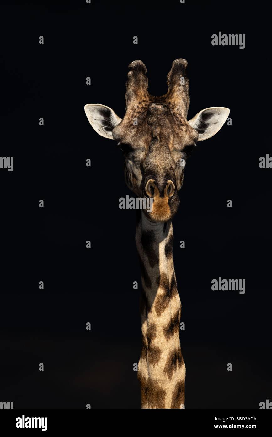 Low key images hi-res stock photography and images - Alamy
