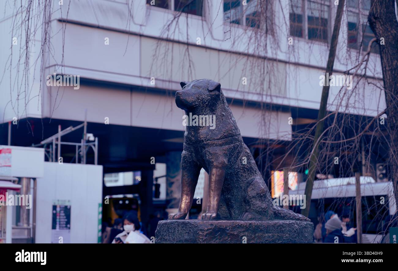 The iconic bronze statue of Hachikō stands faithfully outside Shibuya Station Stock Photo