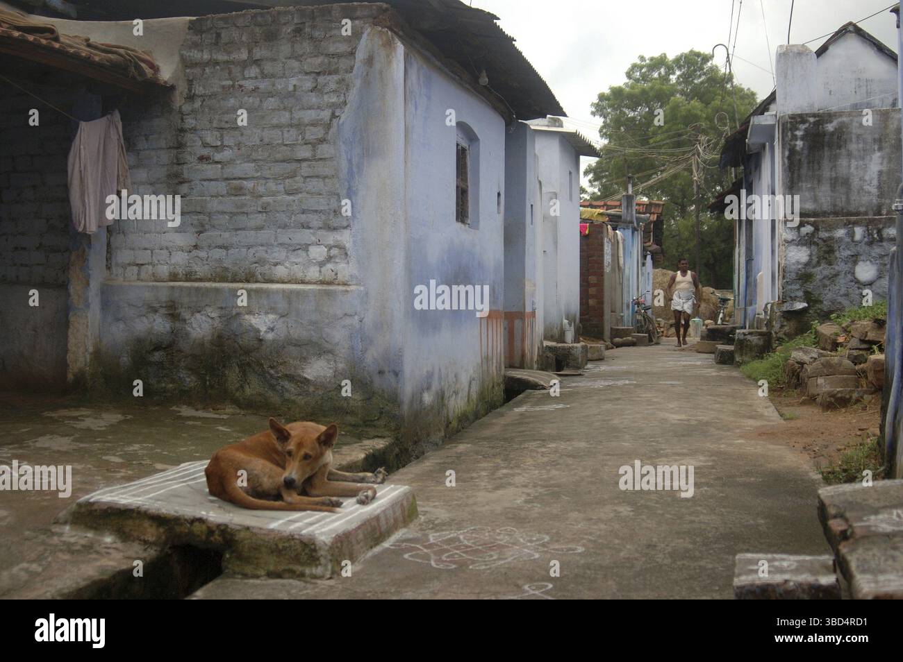 Indian village scene hi-res stock photography and images - Alamy