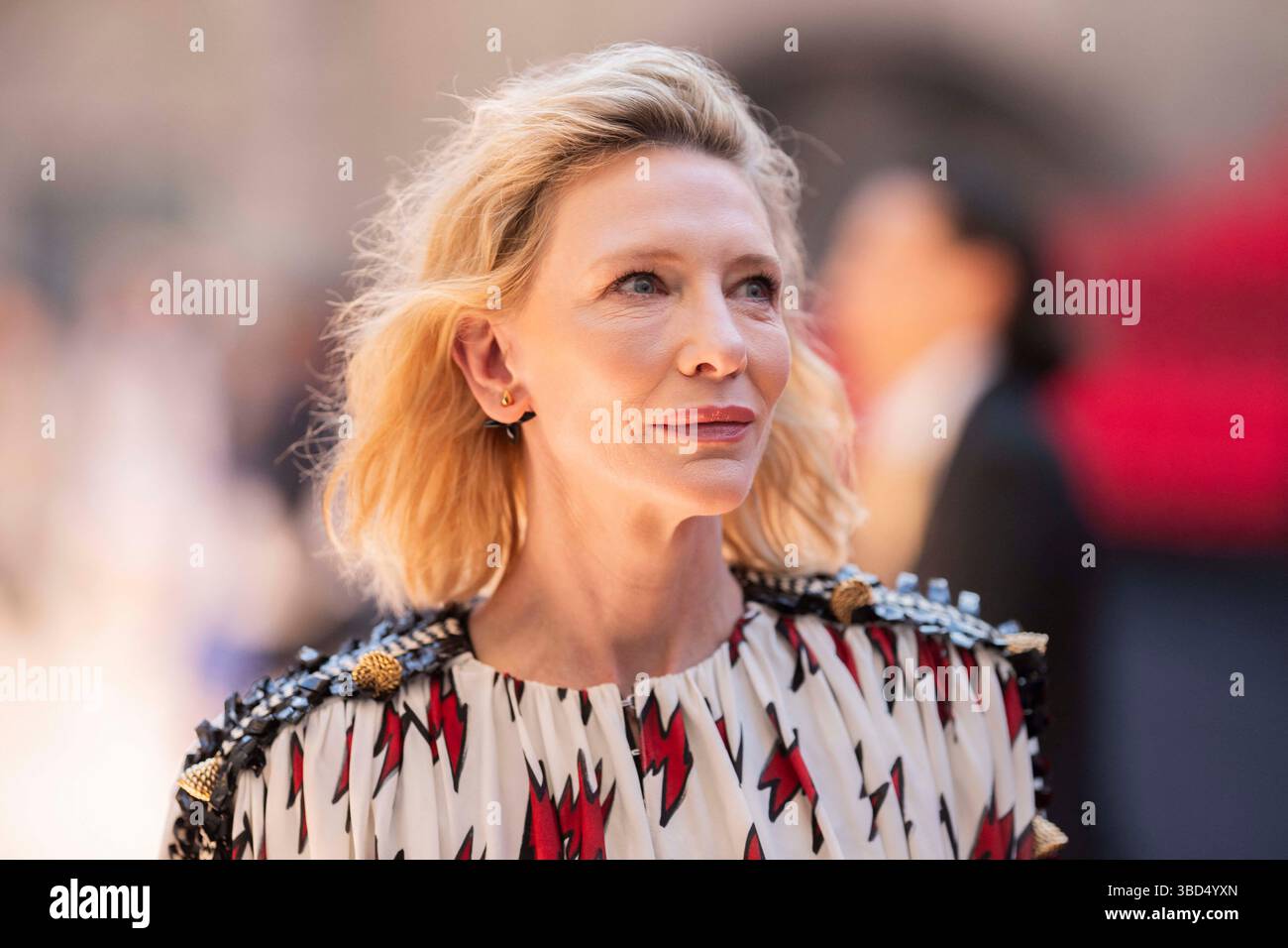 Avignon, France. 22nd May, 2025. Cate Blanchett attending the Louis ...