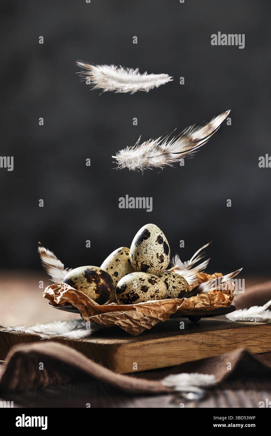 Feathers falling on a bowl with quail eggs Stock Photo