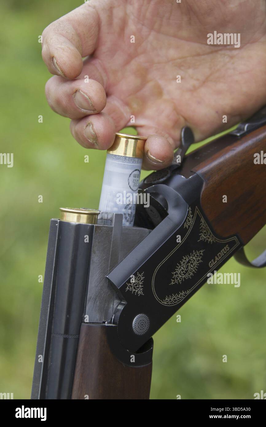 Hunter loading open double-barreled break-action shotgun with two small ...