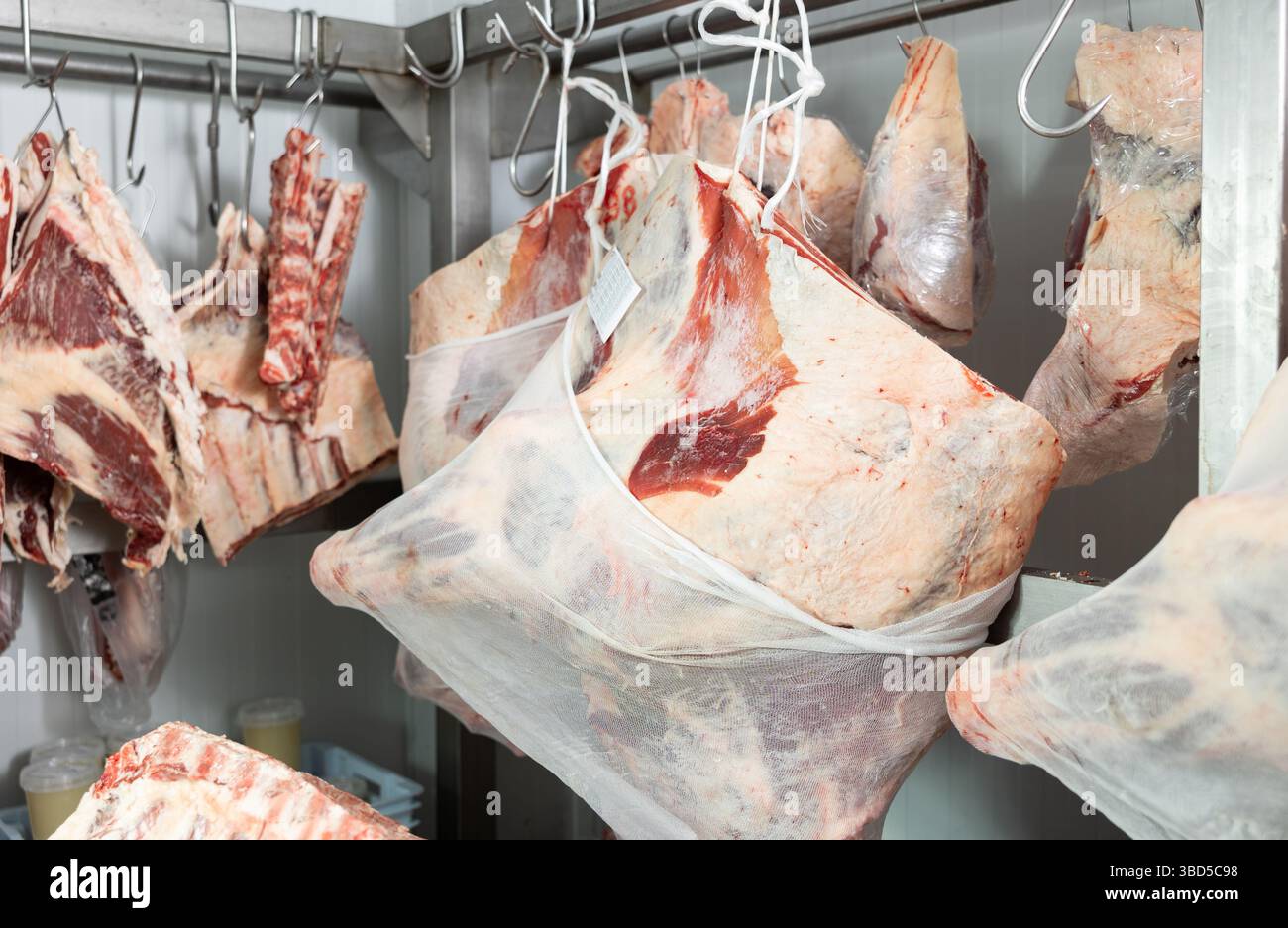 Raw beef hanging in refrigerated meat locker of butcher shop Stock ...