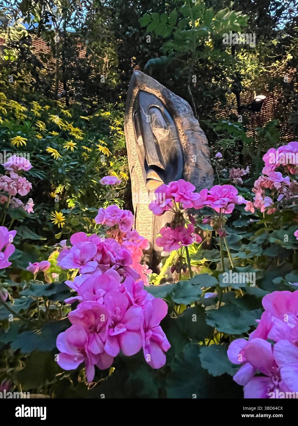 Flowers at the Gardens by the Bay - Smartphone Captured Stock Image