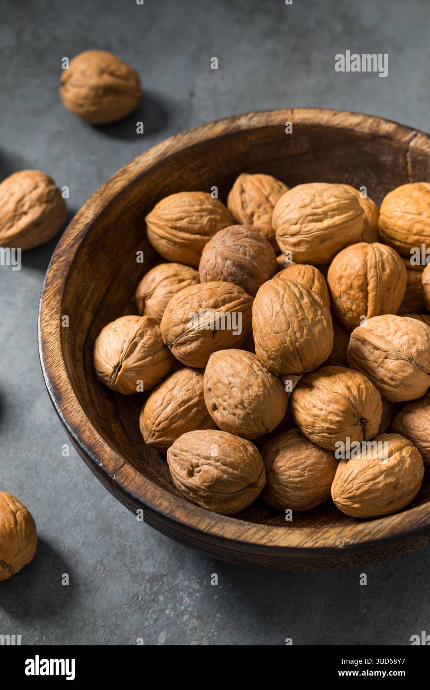 Organic Raw Walnuts in the Shell Ready to Eat Stock Photo
