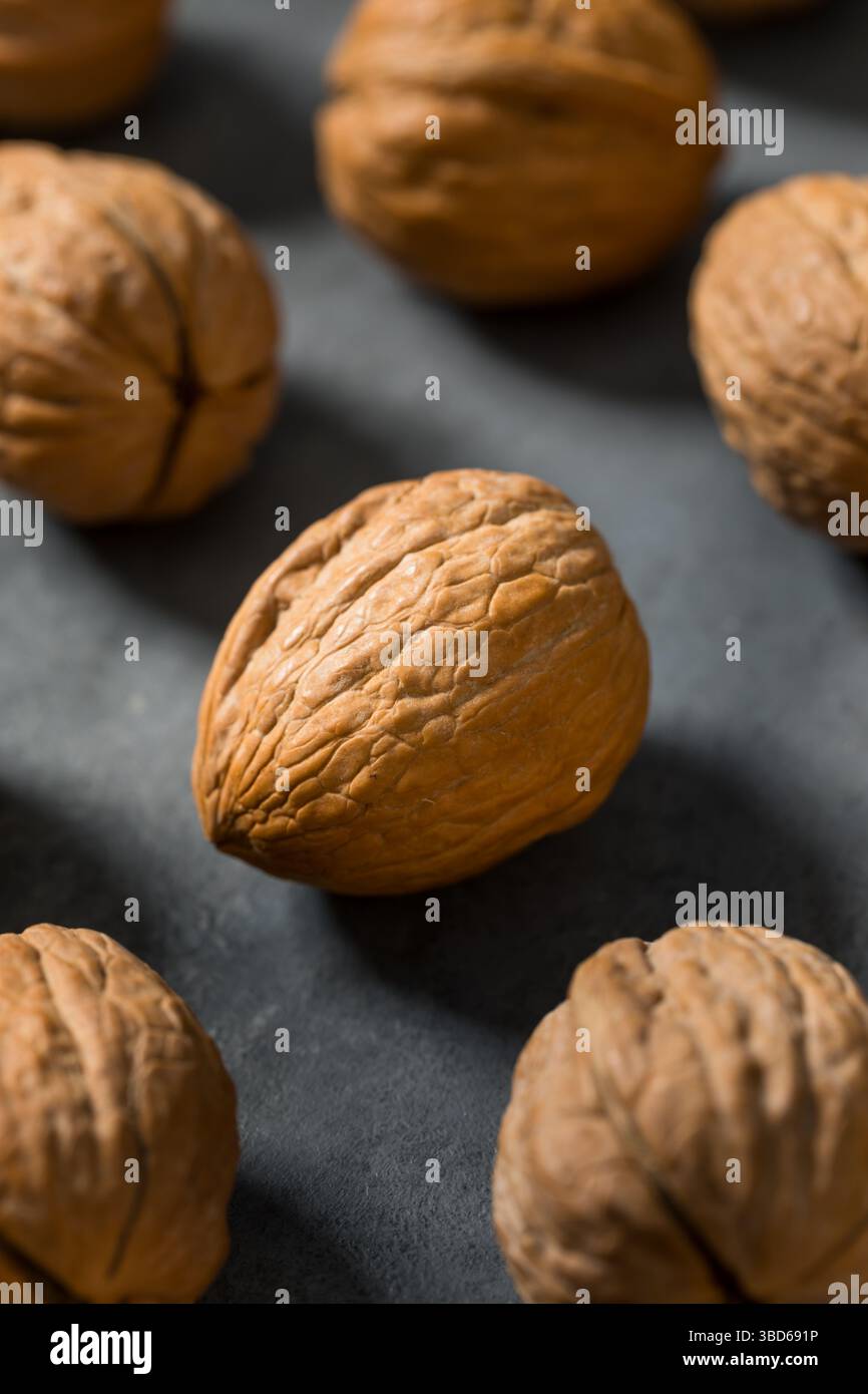 Organic Raw Walnuts in the Shell Ready to Eat Stock Photo