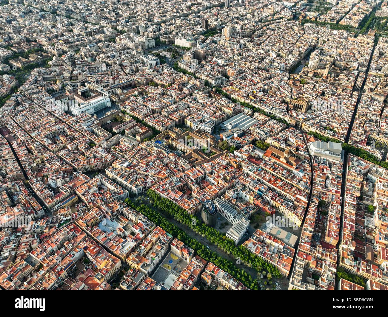 Elevated cityscape of Barcelona?s historic center and museums Stock ...