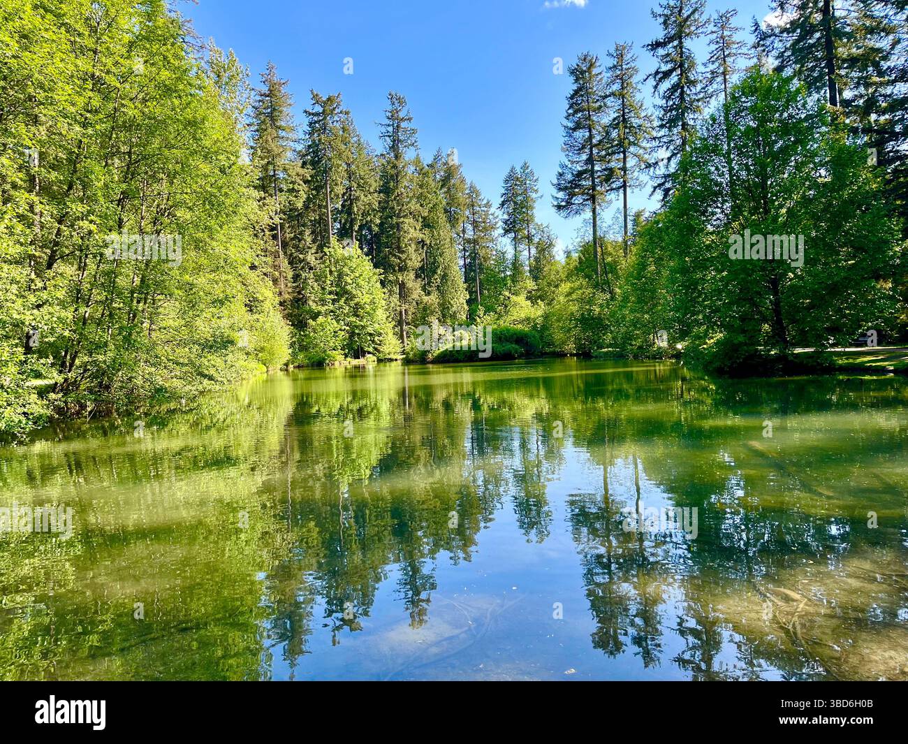 Central Park, Burnaby, British Columbia, Canada - Smartphone Captured Stock Image