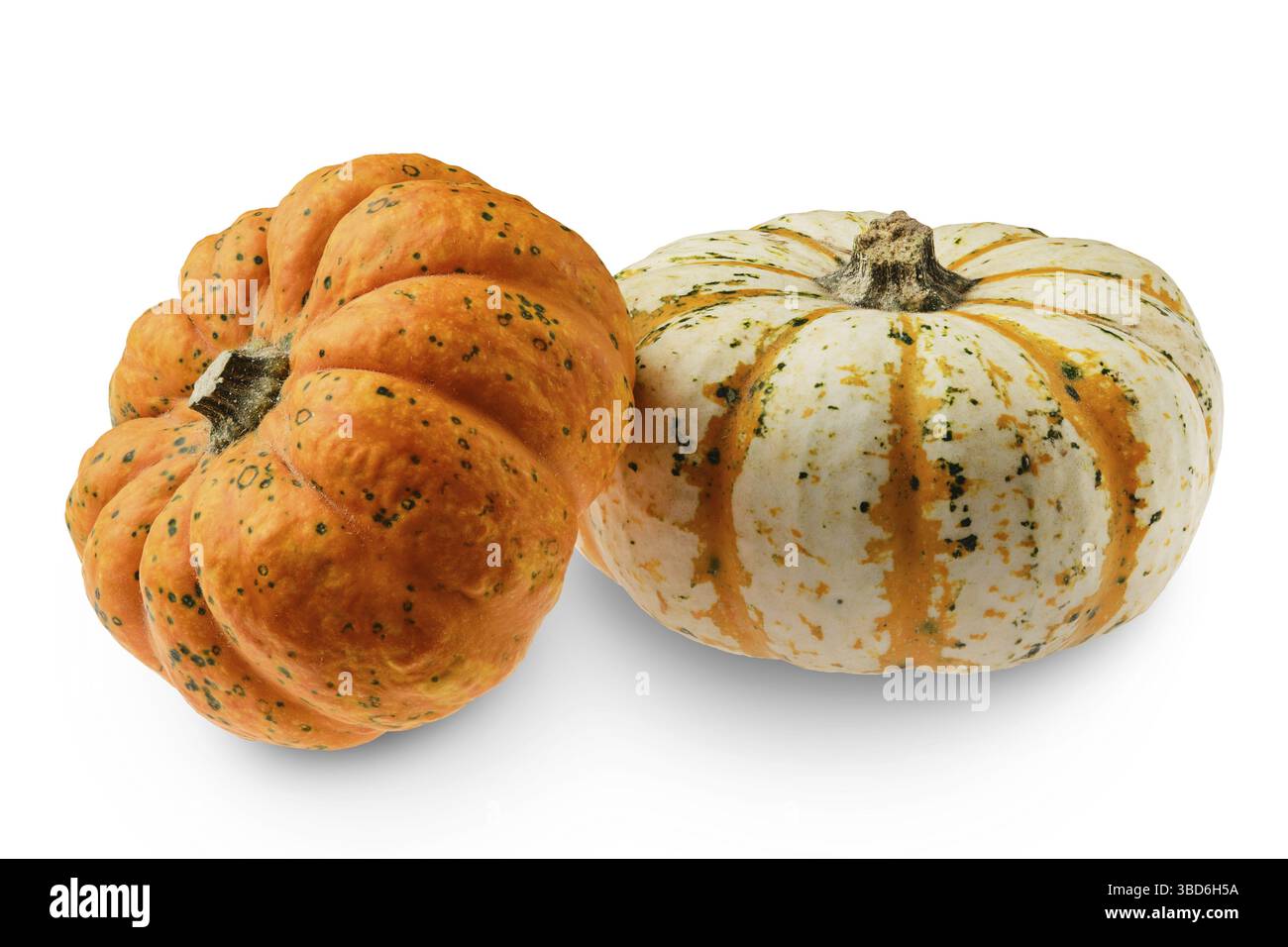 Two carnival squash pumpkins isolated on white background Stock Photo