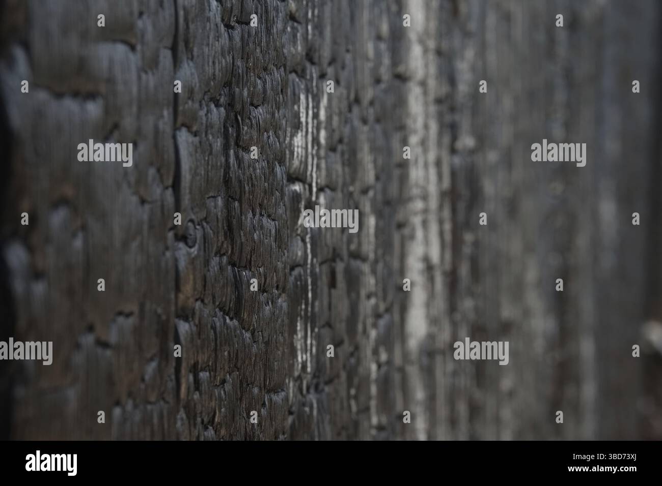 Burned boards or wooden wall, vertical texture Stock Photo