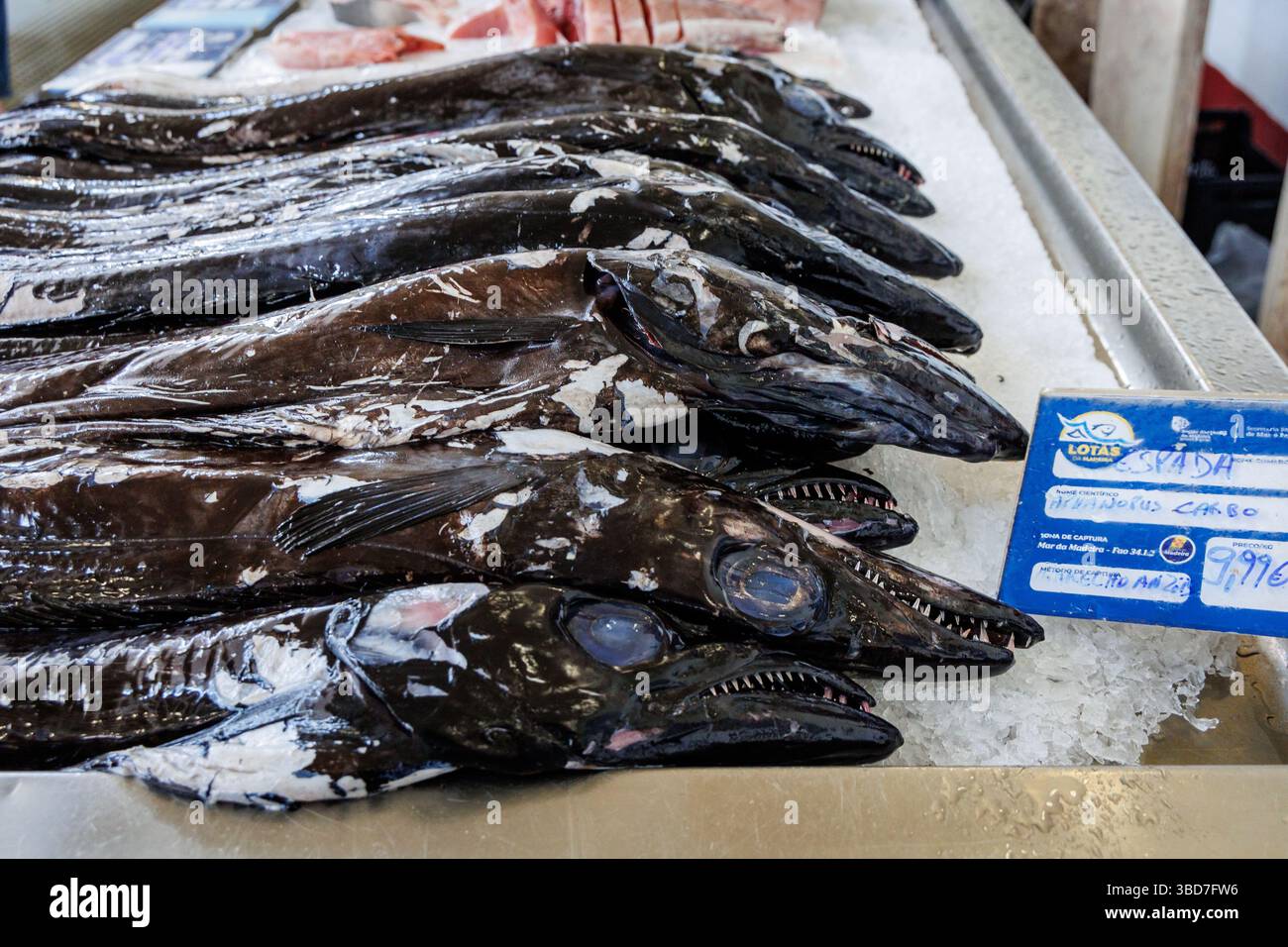 Funchal, Portugal - June 12, 2024: Black scabbardfishes for sale on Mercado dos Lavradores Farmers Market in Funchal, Madeira Stock Photo