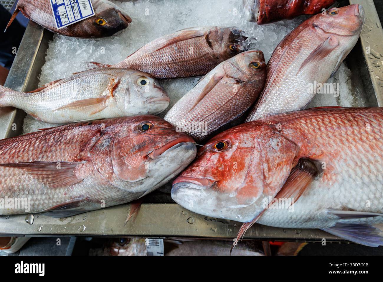 Funchal, Portugal - June 12, 2024: Red seabreams for sale on Mercado dos Lavradores Farmers Market in Funchal, Madeira Stock Photo