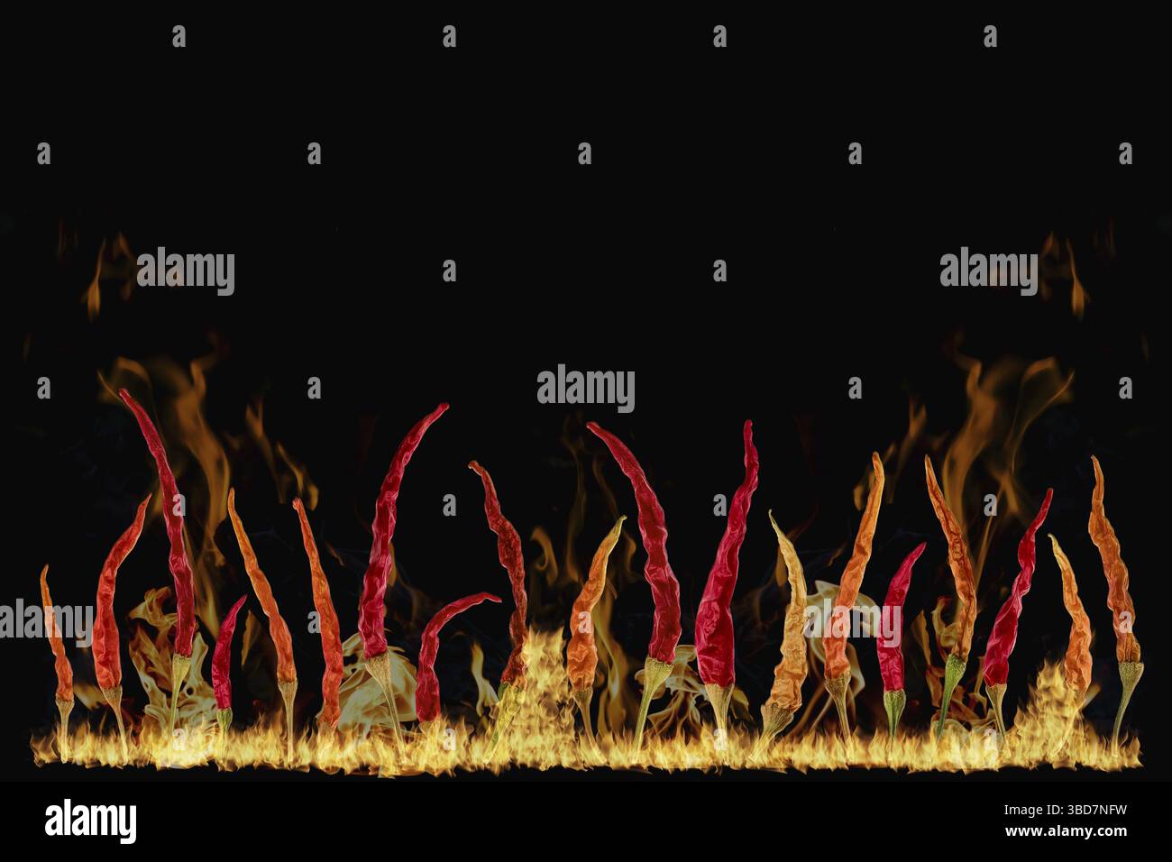Composite image of hot chilli pepper and fire flames on black background Stock Photo