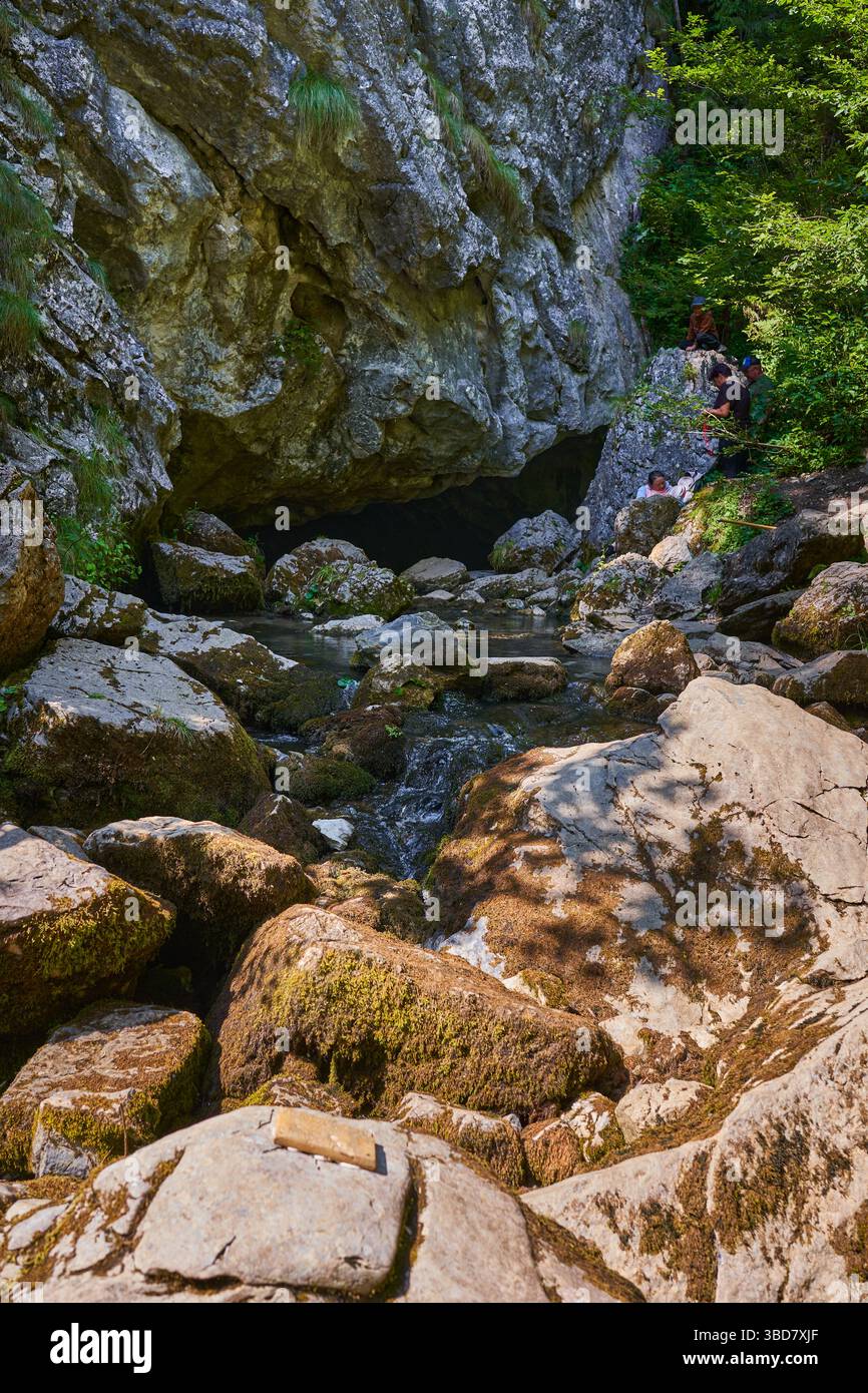 Emerging from pool hi-res stock photography and images - Alamy