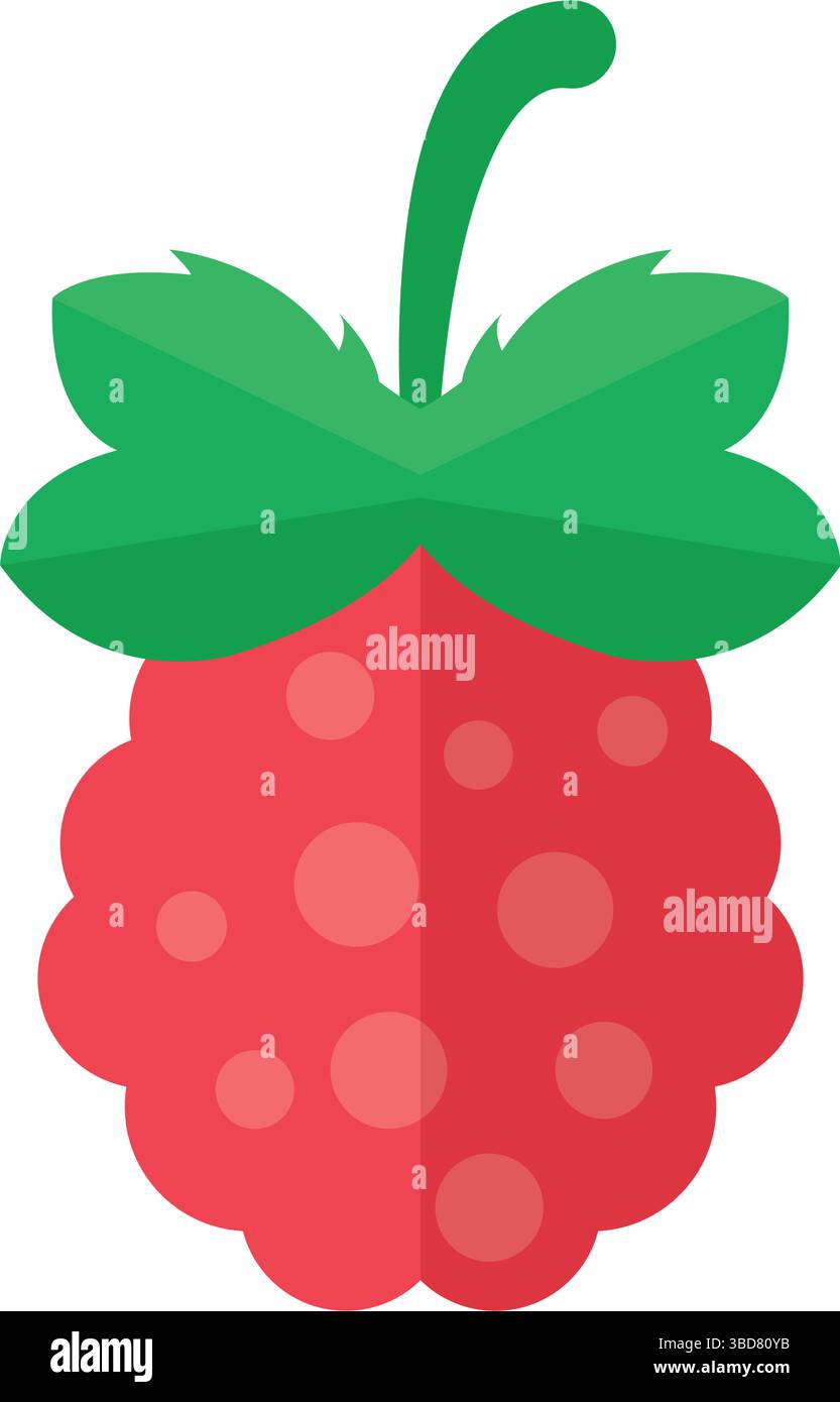 Raspberry fruit icon in flat style. Raspberries berry vector ...