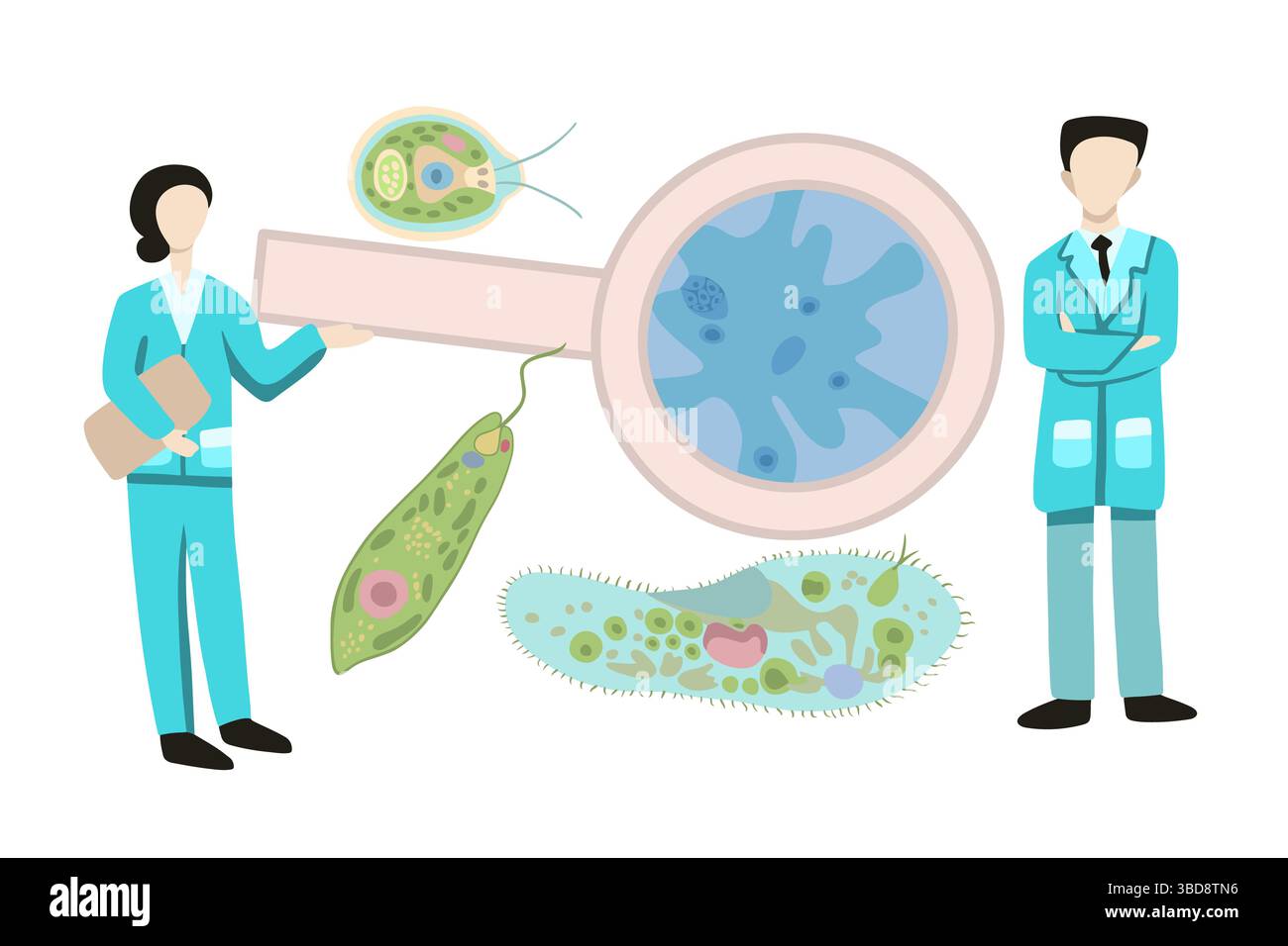 Vector isolated illustration set of unicellular organisms. Study of ...