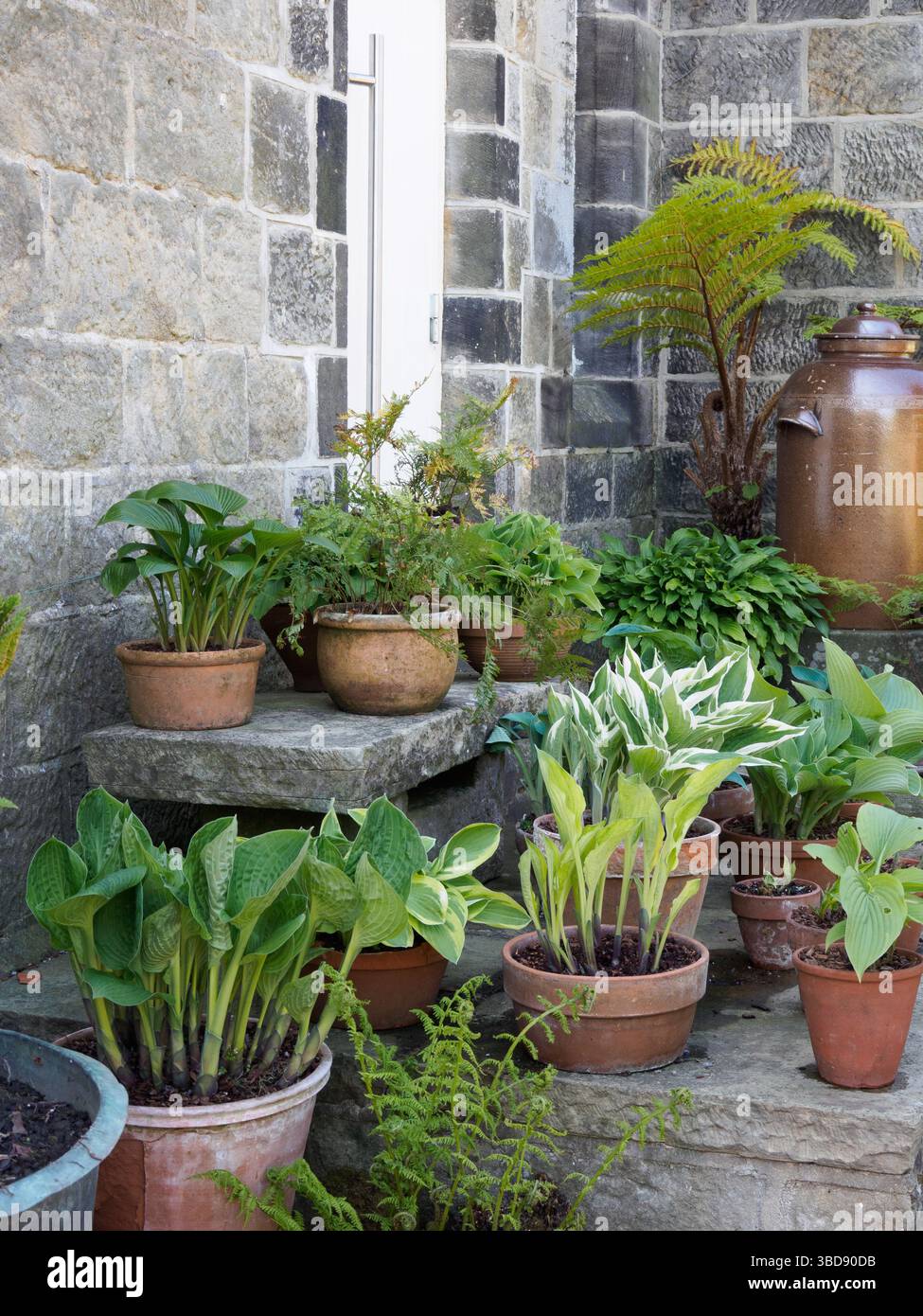 York Gate Garden a sheltered corner Stock Photo