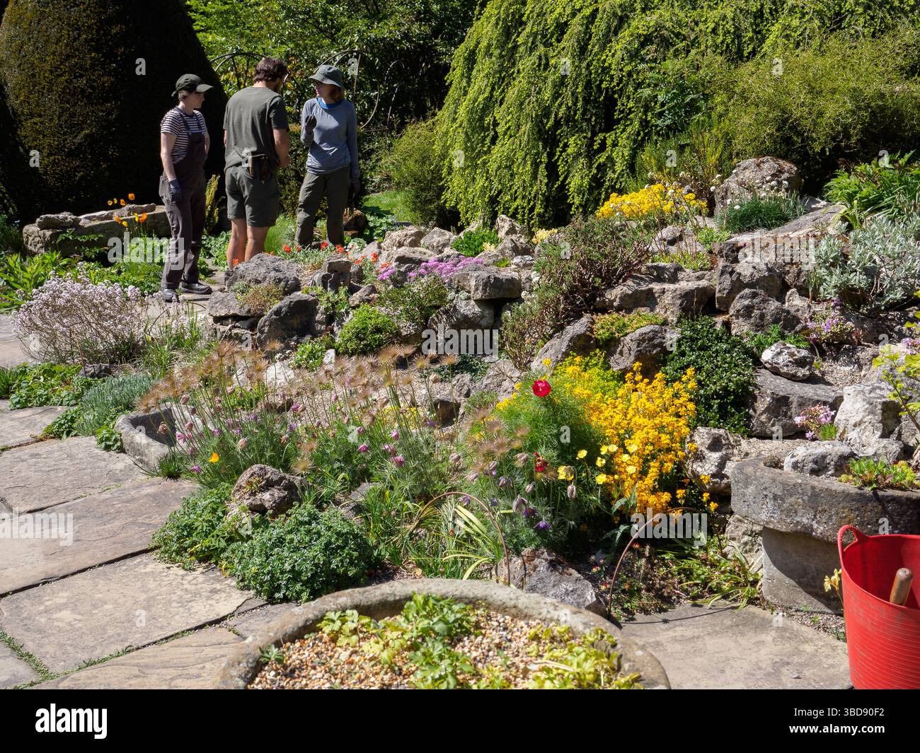 Franny Frock - Lancaster Gate Garden