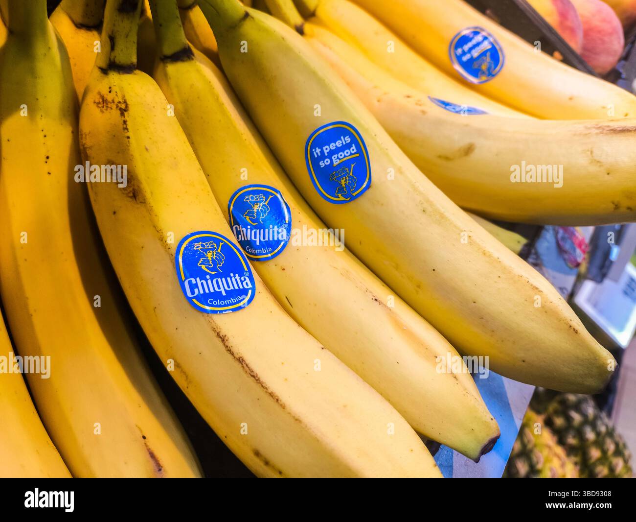 Bavaria Germany 23 May 2025 Chiquita Bananas With Blue Stickers On bavaria-germany-23-may-2025-chiquita-bananas-with-blue-stickers-on