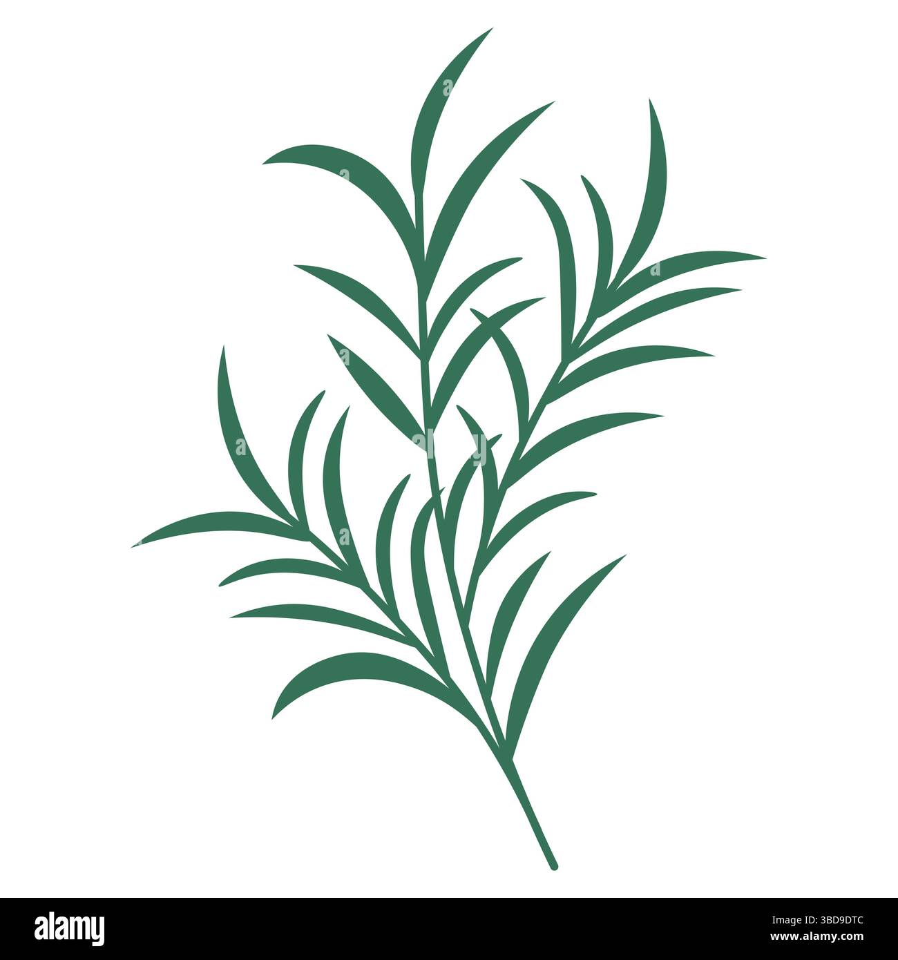 Minimal Green Leaf Branch Vector Stock Vector Image & Art - Alamy